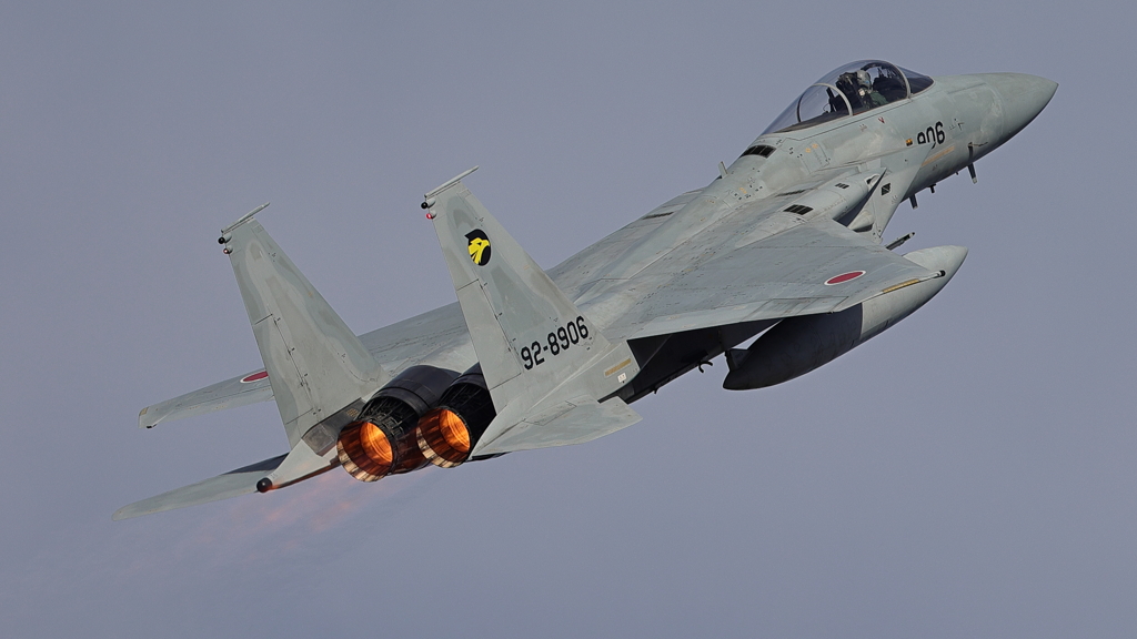 F-15J_306SQ_6859