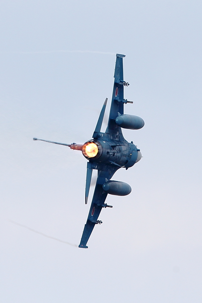 F-2A_8SQ_8077