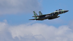 F-15_AGR_1323
