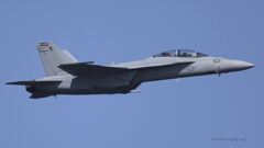 F／A-18E／F_6317