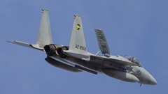 F-15J_306SQ_7772