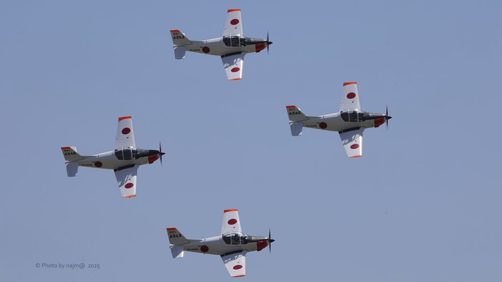 T-5_8933