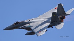 F-15J_306SQ_2961