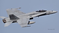 FA-18C_Homet_VMFA-112_3753