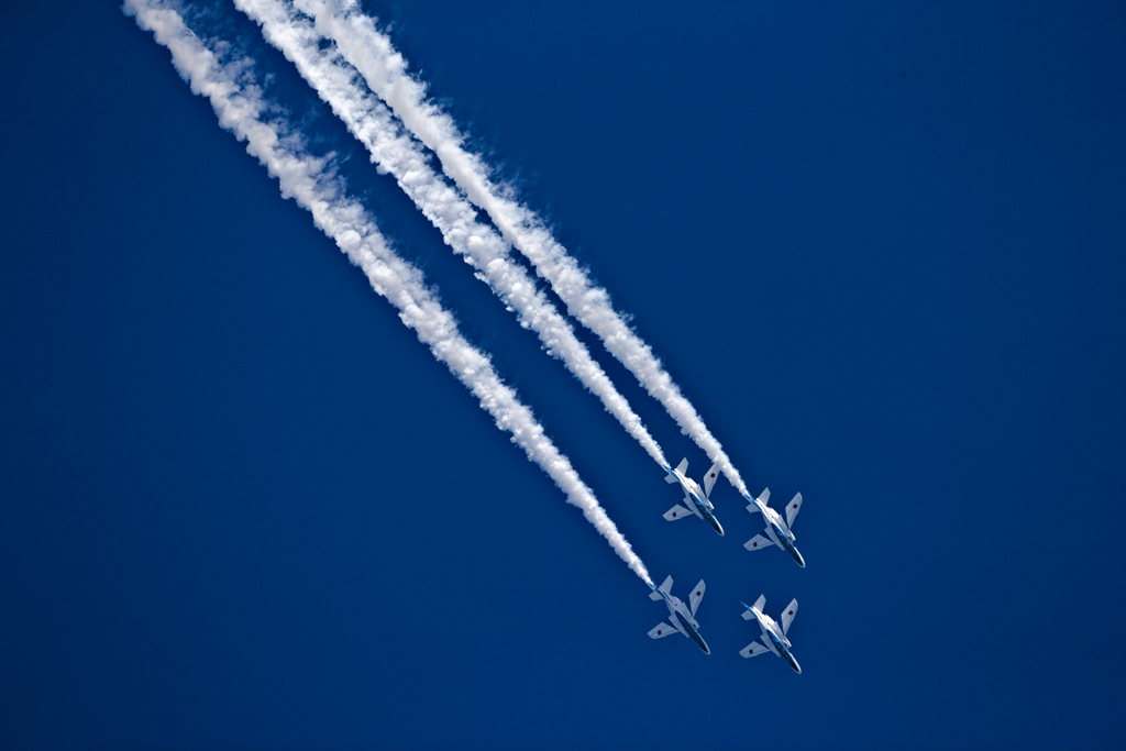 T-4_BL_8080