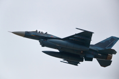 F-2A_3SQ_4273