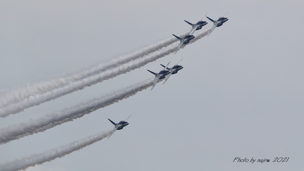 T-4_BL_6532