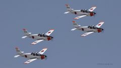 T-5_8909