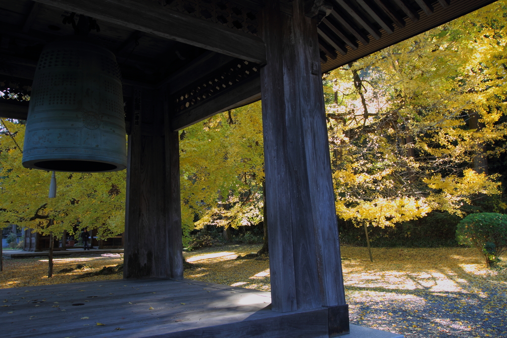 広徳寺_6865