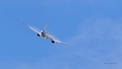 SKYMARK_Boeing 737-800_9710