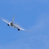 SKYMARK_Boeing 737-800_9710