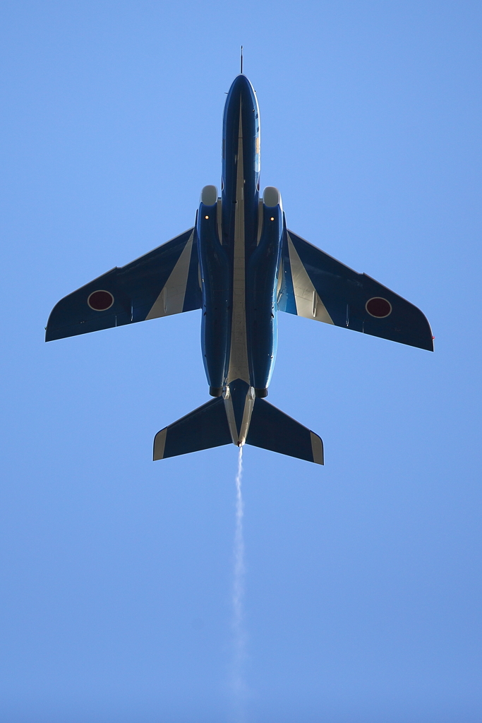 T-4_BL_5904