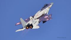 F-15J_306SQ_SPM_5935
