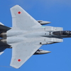 F-15_5SQ_8341