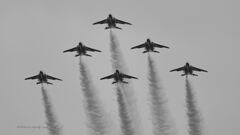 T-4_Blue_7048