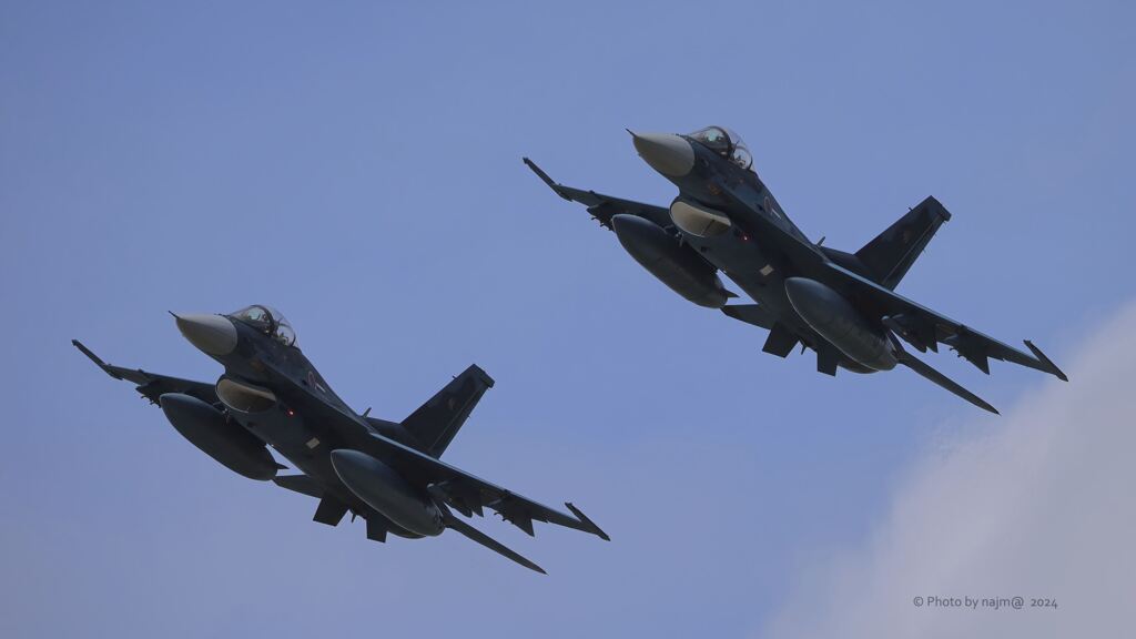 F-2_8SQ_2068
