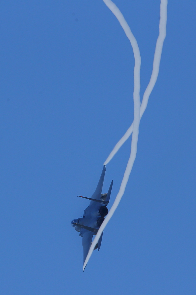 F-15J_303SQ_9594