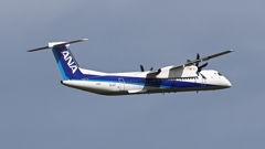 ANA Wings_8419