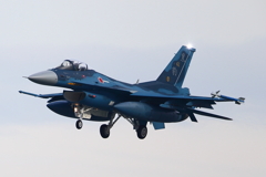 F-2A_8SQ_5053