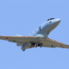 U125A_2351 (2)