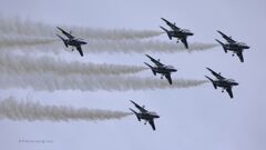 T-4_Blue_7789