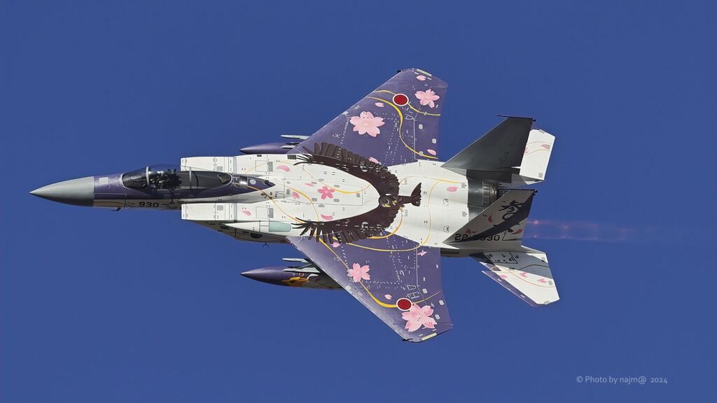 F-15J_306SQ_SPM_6687
