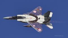 F-15J_306SQ_SPM_6687