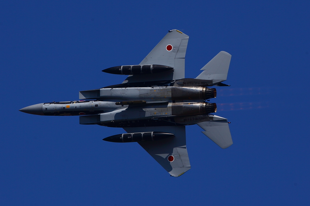 F-15DJ_AGR_4574