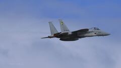 F-15J_306SQ_8715_01