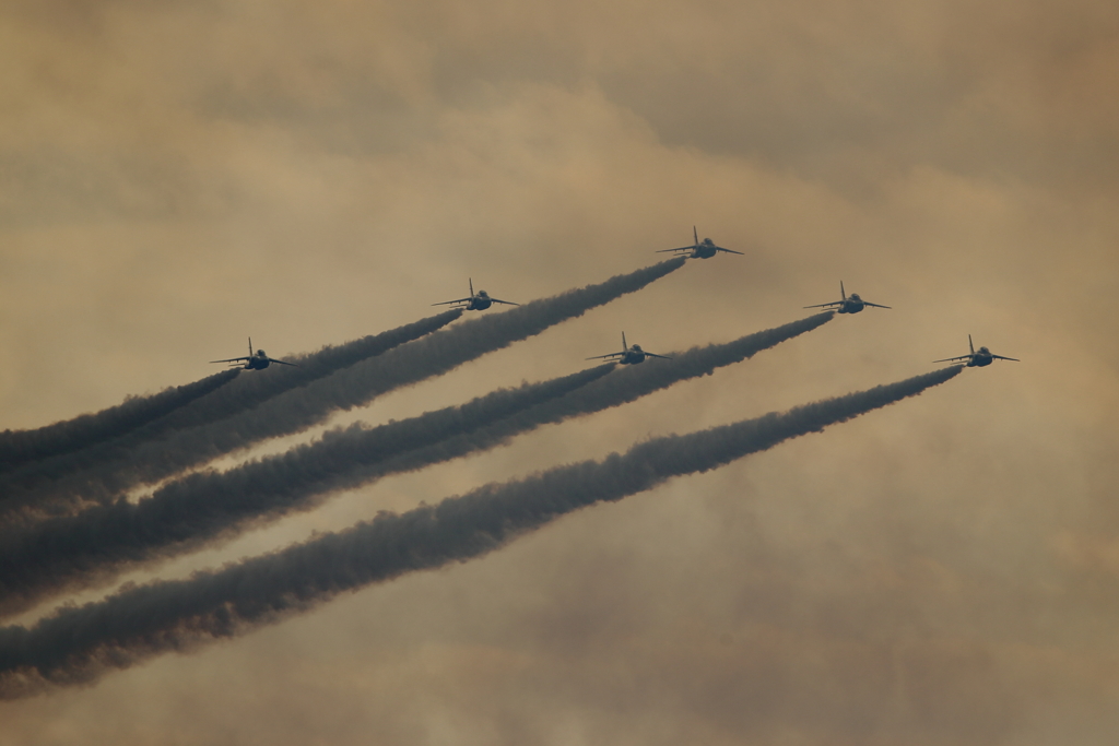 T-4_BL_1605