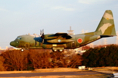 C-130 Hercules_KOMAKI_4234