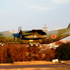 C-130 Hercules_KOMAKI_4234