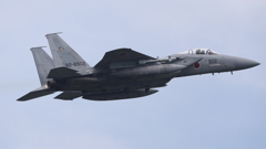 F-15J_201SQ_6806