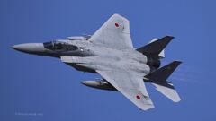 F-15_5SQ_5396