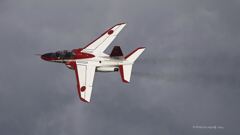 T-4_9995