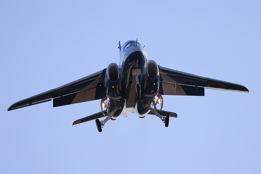 T-4_BL_6058