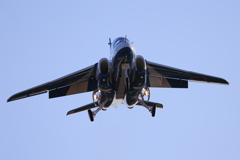 T-4_BL_6058