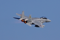 F-15DJ_306SQ_9358