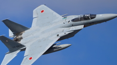F-15_5SQ_9525