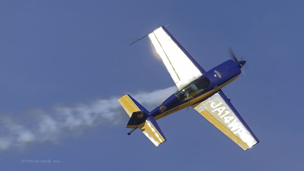 EA 300L EX_3490