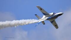T-4_Blue__7177
