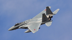 F-15J_306SQ_7894