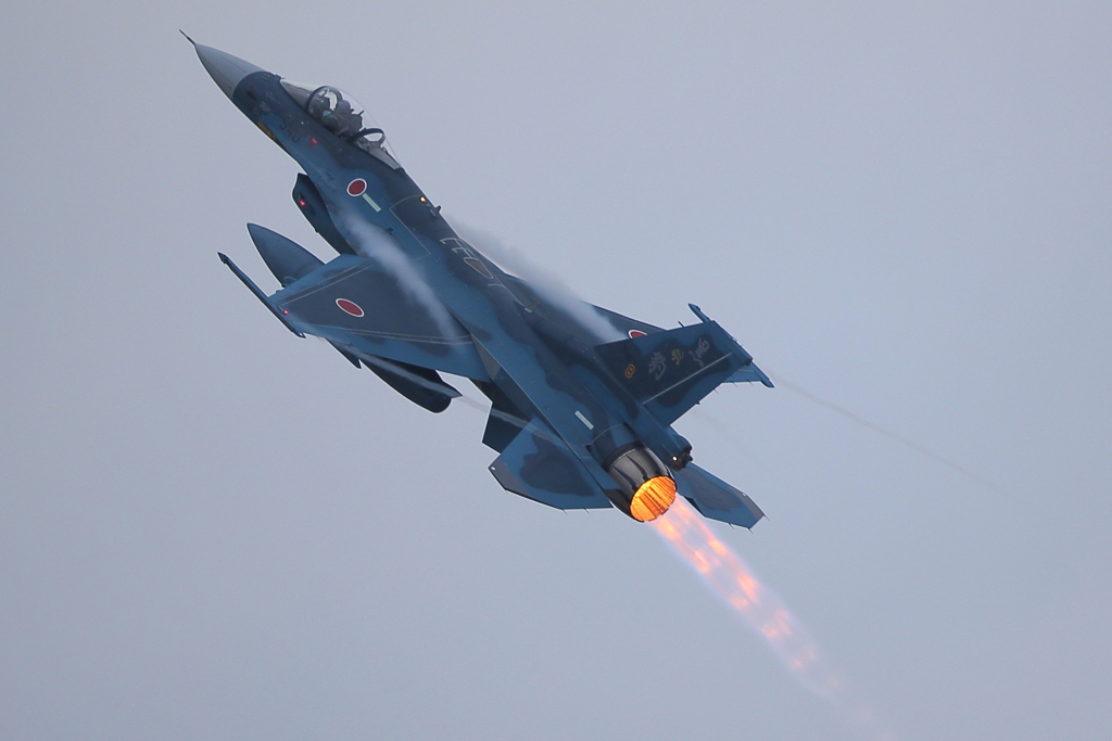 F-2A_8SQ_4922