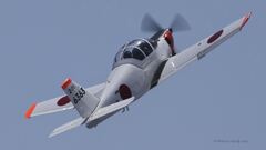 T-5_0486