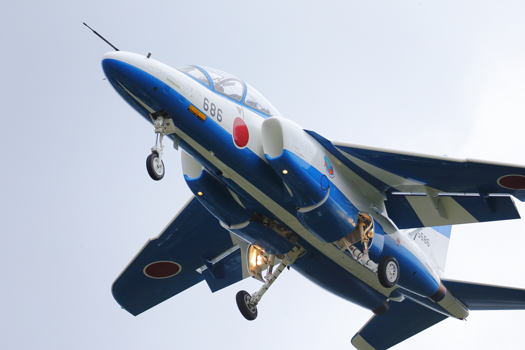 T-4_BL_2768