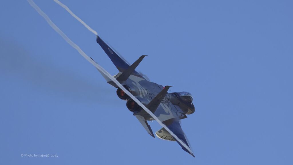 F-15J_303SQ_SPM_6773
