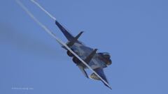 F-15J_303SQ_SPM_6773