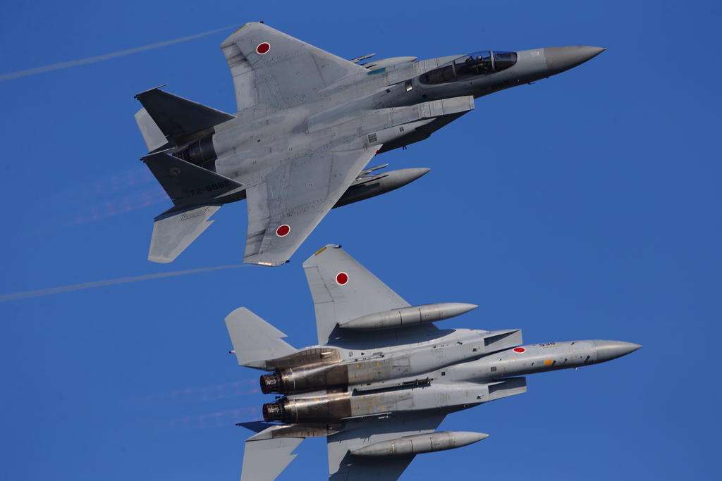 F-15J_303SQ_9406