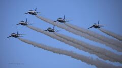 T-4_Blue_7866