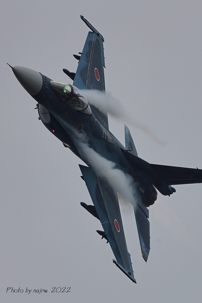 F-2A_3SQ_8574